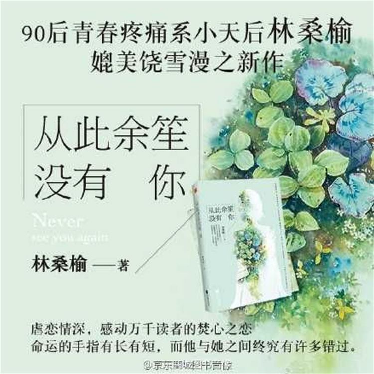 Produktbild: 从此余笙没有你