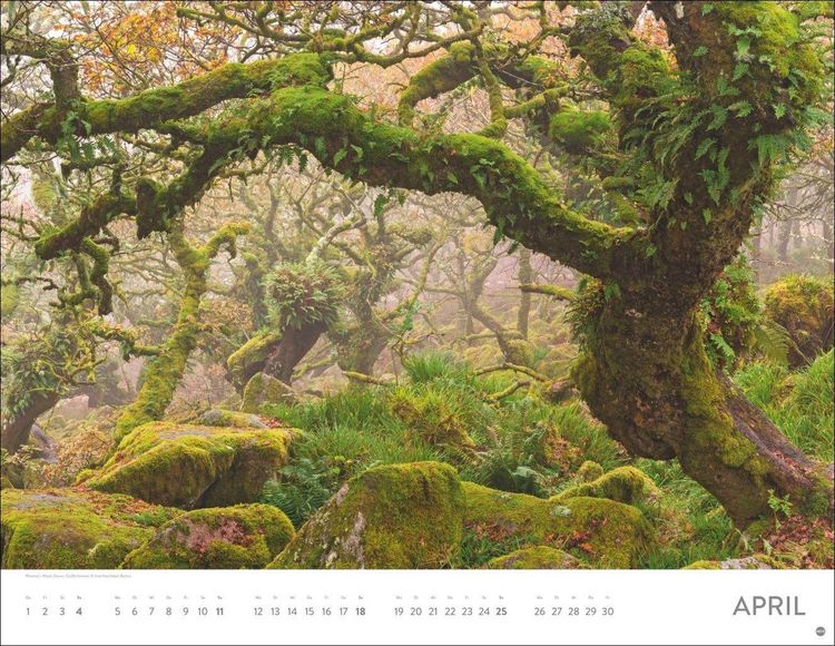 Produktbild: Orte der Kraft Posterkalender 2027