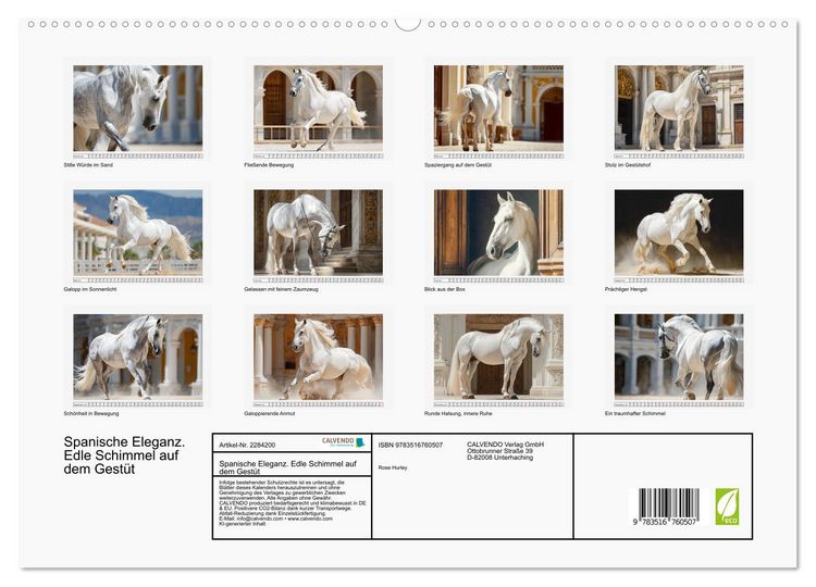 Produktbild: Spanische Eleganz. Edle Schimmel auf dem Gest&uuml;t (hochwertiger Premium Wandkalender 2027 DIN A2 quer), Kunstdruck in Hochglanz