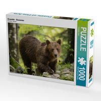 Produktbild: CALVENDO Puzzle Braunb&auml;r - Slowenien | 1000 Teile Lege-Gr&ouml;&szlig;e 64x48cm Foto-Puzzle f&uuml;r gl&uuml;ckliche Stunden