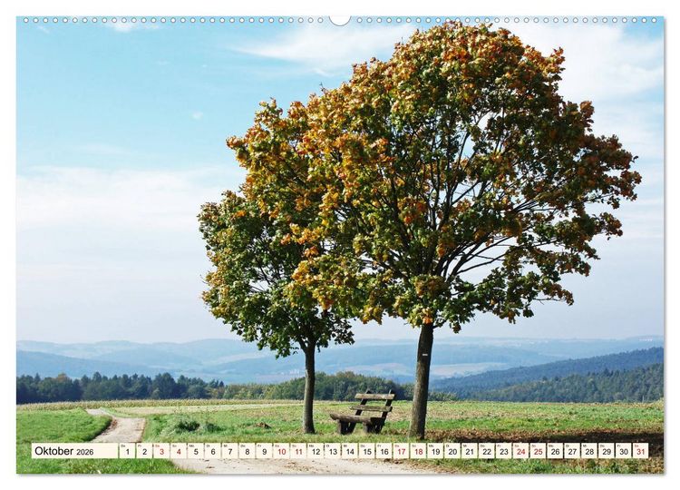 Produktbild: Viele Wege - ein Ziel Wandern im Odenwald (Wandkalender 2026 DIN A2 quer), CALVENDO Monatskalender