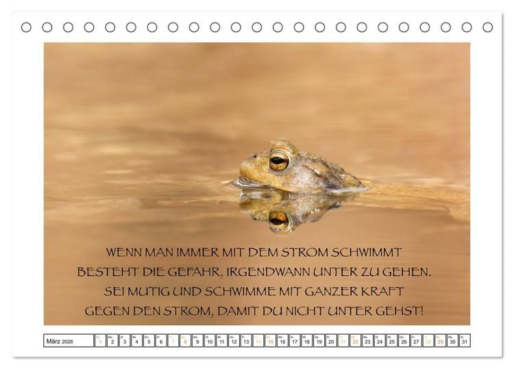 Produktbild: Spruch verliebt (Tischkalender 2026 DIN A5 quer), CALVENDO Monatskalender