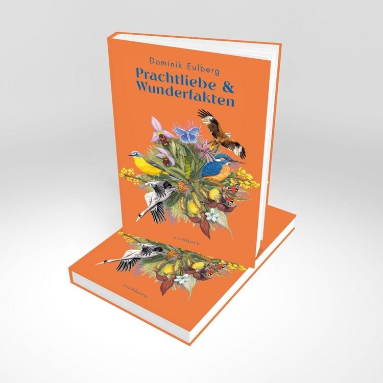 Produktbild: Prachtliebe & Wunderfakten