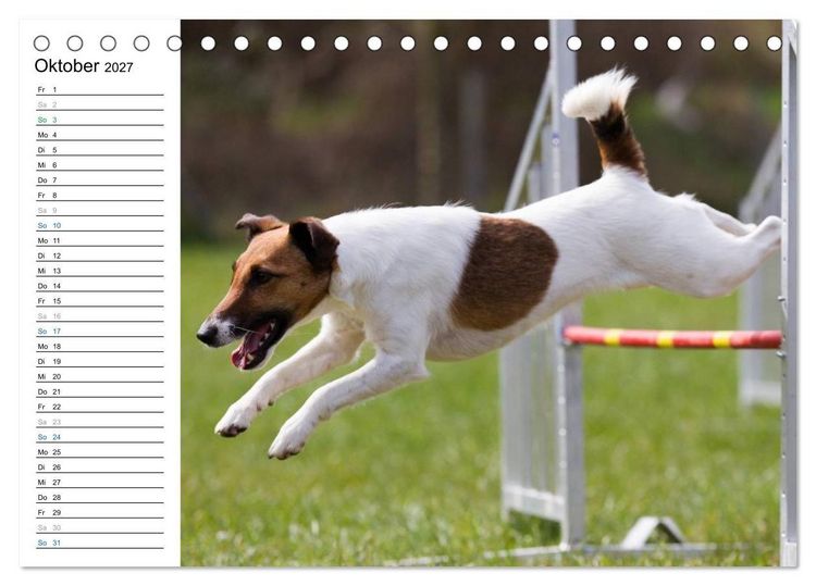 Produktbild: Agility - Sport und Spass (Tischkalender 2027 DIN A5 quer), CALVENDO Monatskalender