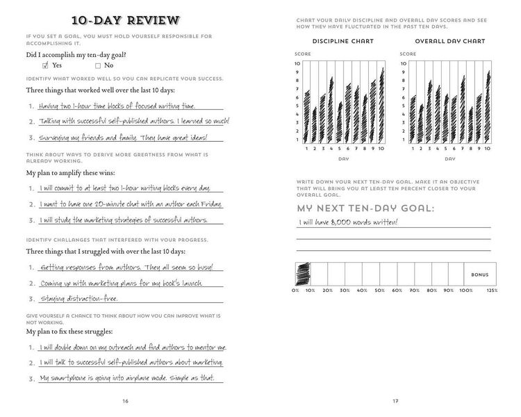 Produktbild: The 100-Day Goal Journal