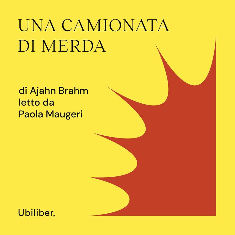 Produktbild: Una camionata di merda