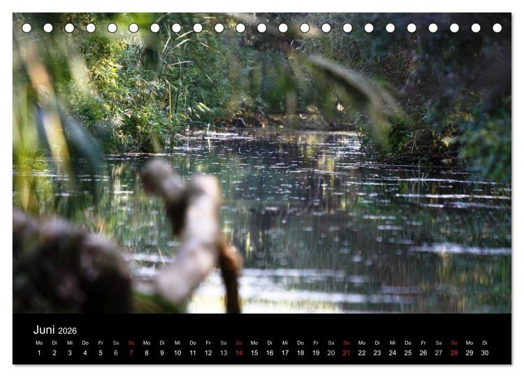 Produktbild: Donaudelta (Tischkalender 2026 DIN A5 quer), CALVENDO Monatskalender