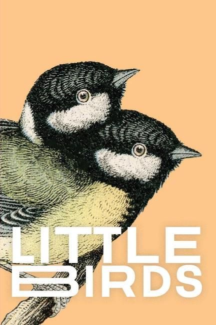 Produktbild: Little Birds