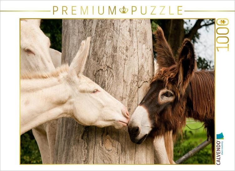 Produktbild: CALVENDO Puzzle Poitou Esel und wei&szlig;er Esel | 1000 Teile Lege-Gr&ouml;&szlig;e 64x48cm Foto-Puzzle f&uuml;r gl&uuml;ckliche Stunden