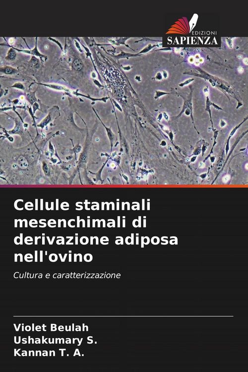 Produktbild: Cellule staminali mesenchimali di derivazione adiposa nell'ovino