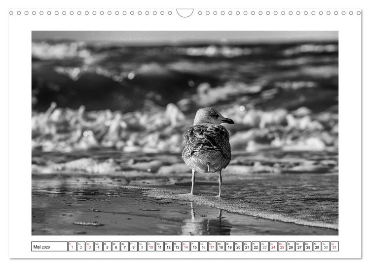 Produktbild: Am Strand von St. Peter-Ording SCHWARZ-WEISS (Wandkalender 2026 DIN A3 quer), CALVENDO Monatskalender