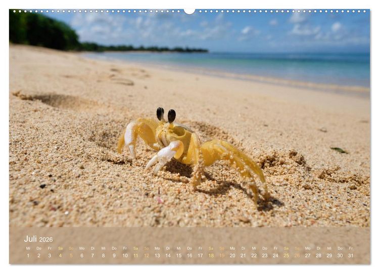 Produktbild: Guadeloupe - Karibische Traumstr&auml;nde (hochwertiger Premium Wandkalender 2026 DIN A2 quer), Kunstdruck in Hochglanz