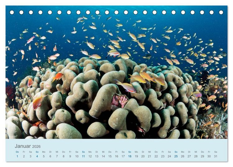 Produktbild: Abenteuer Unterwasser (Tischkalender 2026 DIN A5 quer), CALVENDO Monatskalender