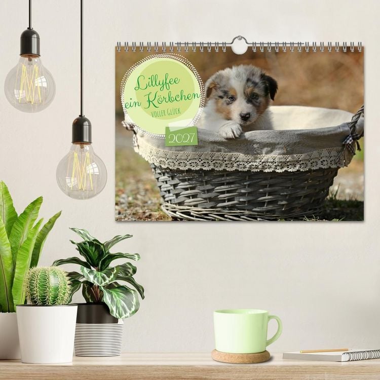Produktbild: Lillyfee und ein K&ouml;rbchen voller Gl&uuml;ck (Wandkalender 2027 DIN A4 quer), CALVENDO Monatskalender