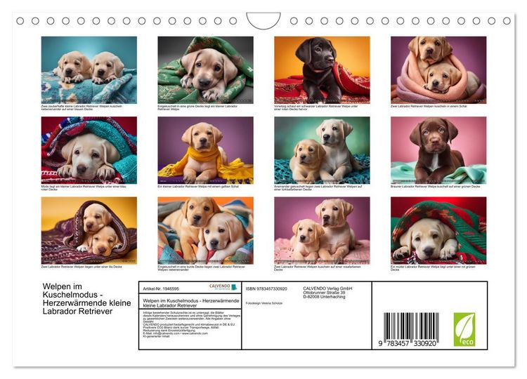 Produktbild: Welpen im Kuschelmodus - Herzerw&auml;rmende kleine Labrador Retriever (Wandkalender 2026 DIN A4 quer), CALVENDO Monatskalender