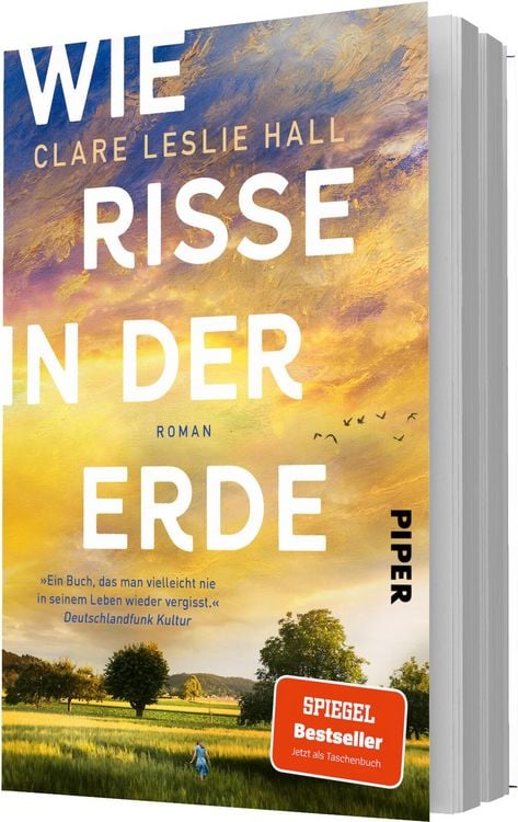 Produktbild: Wie Risse in der Erde