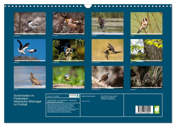 Produktbild: Sch&ouml;nheiten im Federkleid - Heimische Wildv&ouml;gel im Portrait (Wandkalender 2026 DIN A3 quer), CALVENDO Monatskalender