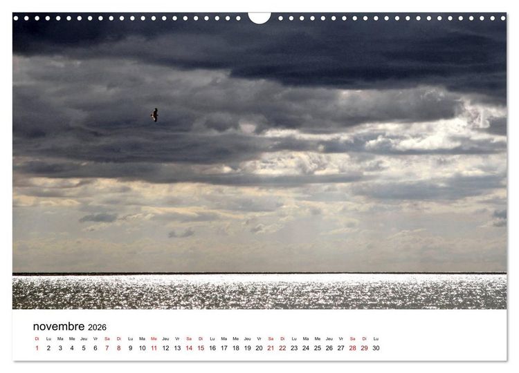 Produktbild: La mer d'Occitanie (Calendrier mural 2026 DIN A3 vertical), CALVENDO calendrier mensuel
