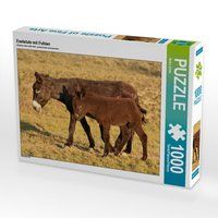 Produktbild: CALVENDO Puzzle Eselstute mit Fohlen 1000 Teile Lege-Gr&ouml;&szlig;e 64 x 48 cm Foto-Puzzle Bild von Meike B&ouml;lts
