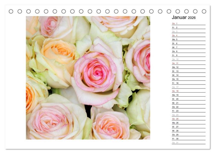 Produktbild: Die vielen Gesichter der Rosen (Tischkalender 2026 DIN A5 quer), CALVENDO Monatskalender