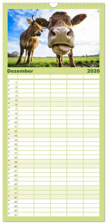 Produktbild: Familienplaner 2026 - Kuhckst du? mit 5 Spalten (Wandkalender, 21 x 45 cm) CALVENDO