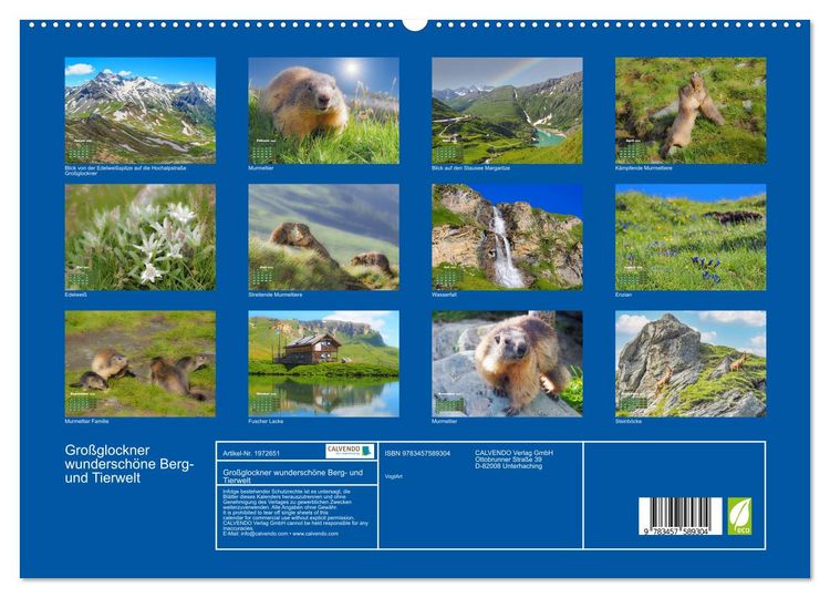 Produktbild: Gro&szlig;glockner wundersch&ouml;ne Berg- und Tierwelt (hochwertiger Premium Wandkalender 2026 DIN A2 quer), Kunstdruck in Hochglanz