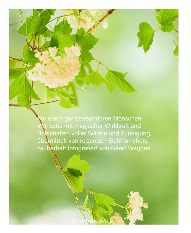 Produktbild: Das Gl&uuml;ck aller Kleebl&auml;tter sei mit dir