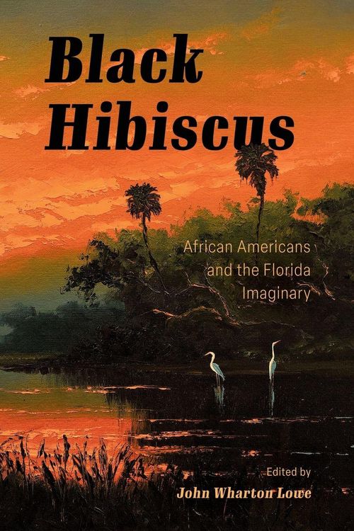Produktbild: Black Hibiscus