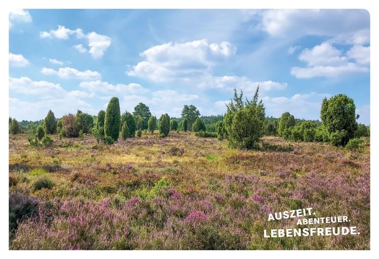 Produktbild: 52 kleine & gro&szlig;e Eskapaden in der L&uuml;neburger Heide