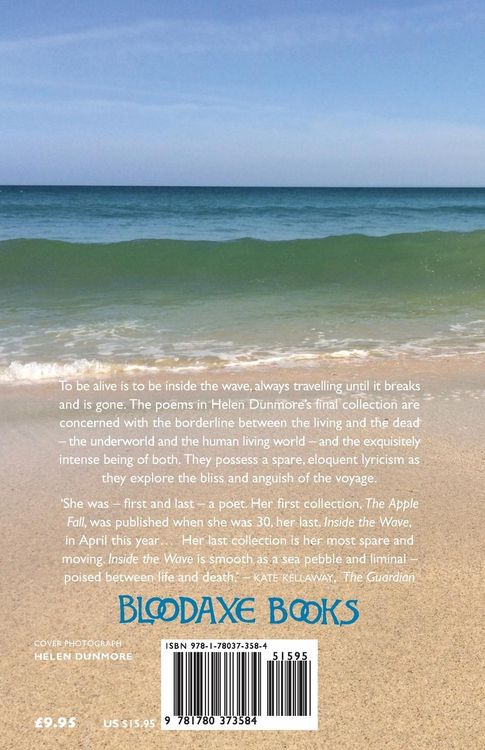 Produktbild: Inside the Wave