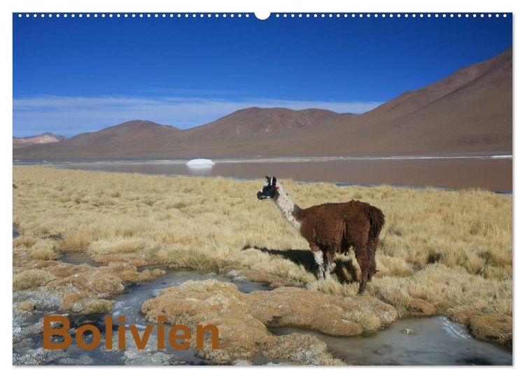 Produktbild: Bolivien (Wandkalender 2026 DIN A2 quer), CALVENDO Monatskalender