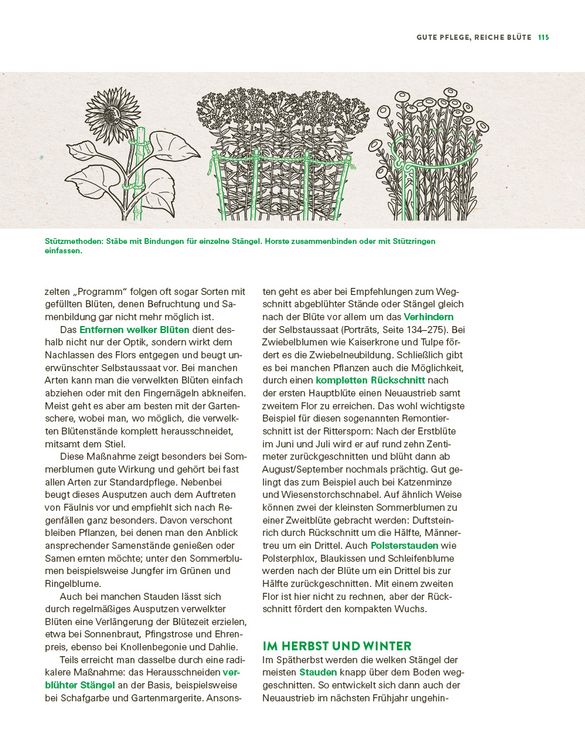 Produktbild: Das gro&szlig;e Buch der Stauden und Sommerblumen