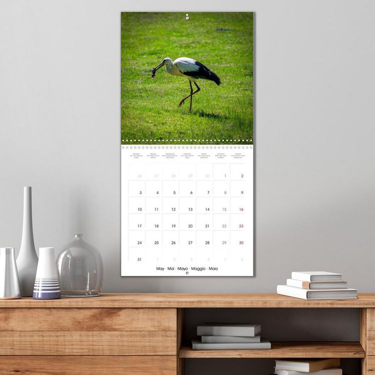 Produktbild: Whispers of Wings (Wall Calendar 2027 12 &times; 12 Inch) CALVENDO 12 Month Wall Calendar