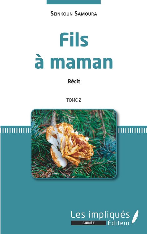 Produktbild: Fils &agrave; maman. R&eacute;cit. Tome 2