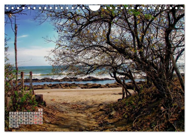 Produktbild: Nicaraguas faszinierende Flora & Fauna (Wandkalender 2026 DIN A4 quer), CALVENDO Monatskalender
