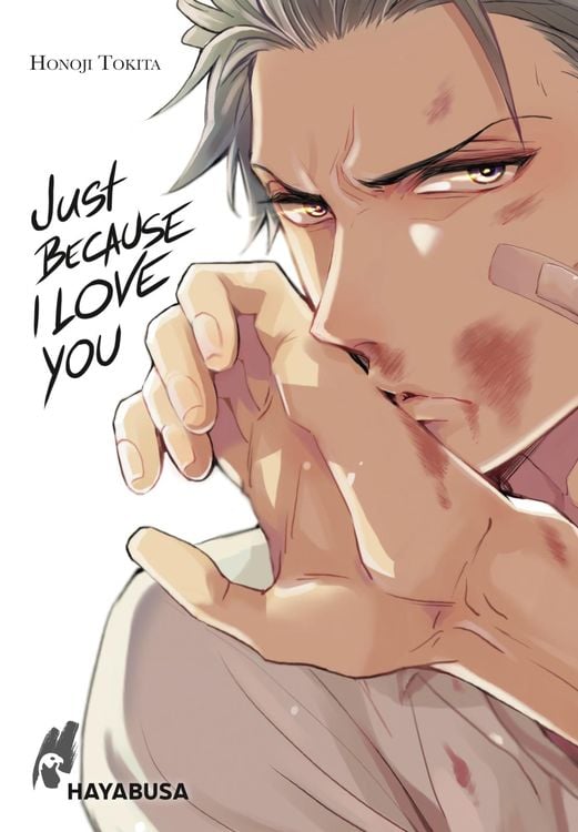 Bild vom Artikel Just Because I Love you vom Autor Honoji Tokita