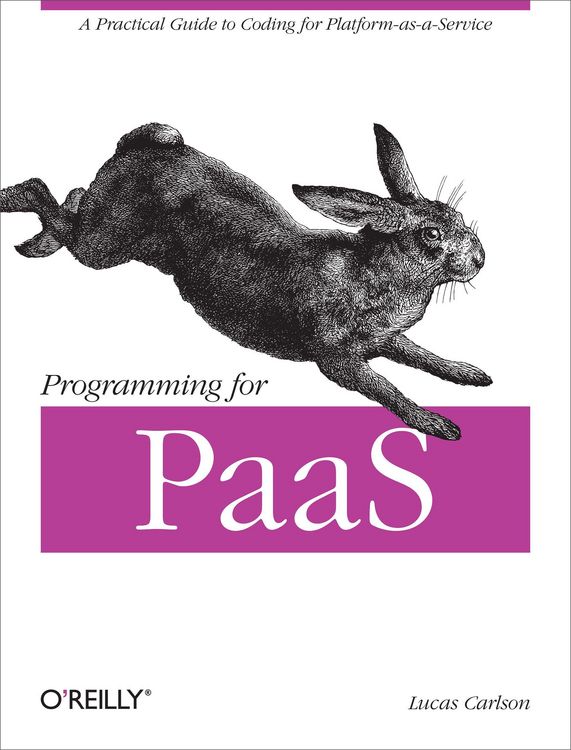 Produktbild: Programming for Paas