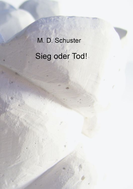 Produktbild: Sieg oder Tod!