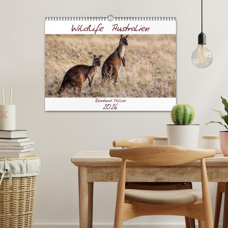 Produktbild: Wildlife Australien (Wandkalender 2026 DIN A3 quer), CALVENDO Monatskalender