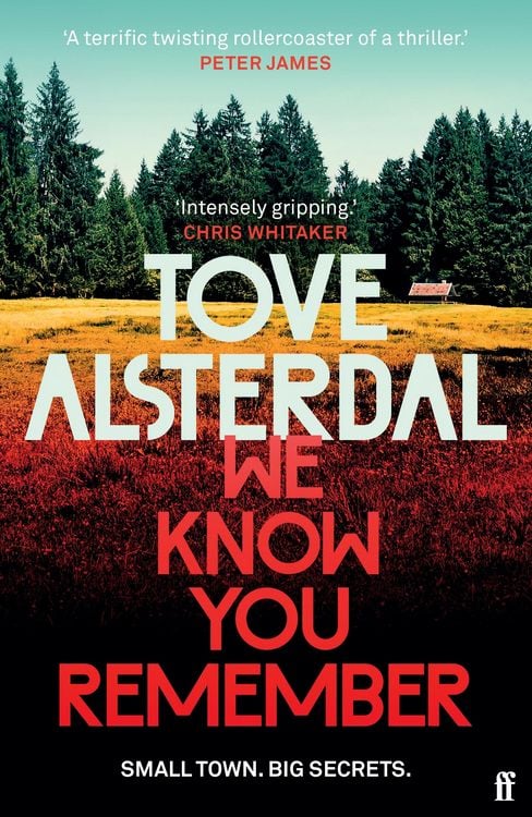 Bild vom Artikel We Know You Remember vom Autor Tove Alsterdal
