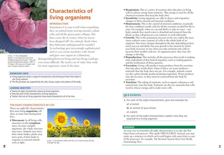 Produktbild: Edexcel International GCSE (9-1) Biology Student Book