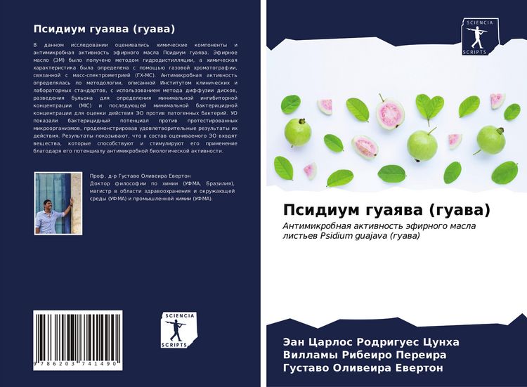 Produktbild: Psidium guaqwa (guawa)