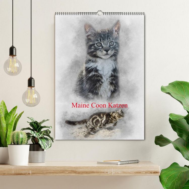 Produktbild: Maine Coon Katzen (Wandkalender 2026 DIN A2 hoch), CALVENDO Monatskalender