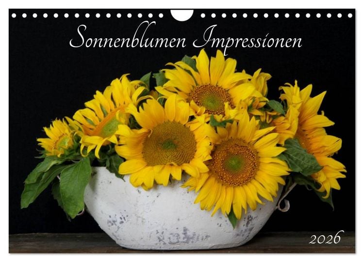 Produktbild: Sonnenblumen Impressionen (Wandkalender 2026 DIN A4 quer), CALVENDO Monatskalender