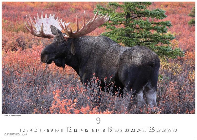 Produktbild: Alaska Kalender 2027 &ndash; Wandkalender | Fotokalender Nordamerika 24x35cm -mit 12 einzigartigen Bildern von Natur, Weite und Wildnis