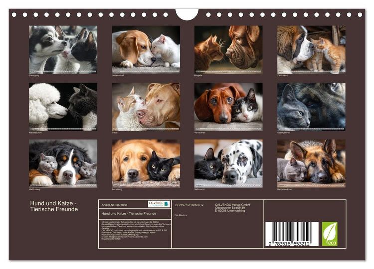 Produktbild: Hund und Katze - Tierische Freunde (Wandkalender 2026 DIN A4 quer), CALVENDO Monatskalender