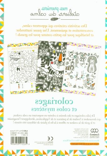 Produktbild: Coloriages et colos myst&egrave;res : 4+