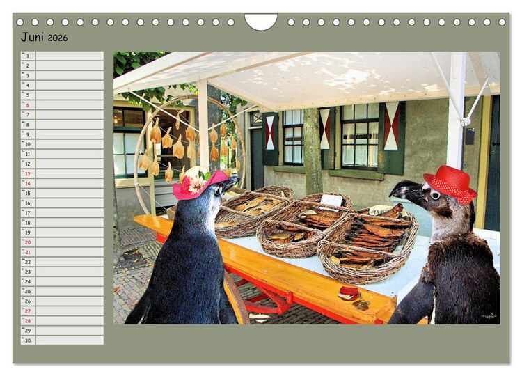 Produktbild: Pinguine privat Planer (Wandkalender 2026 DIN A4 quer), CALVENDO Monatskalender