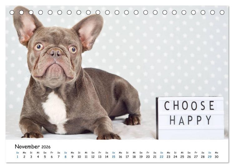 Produktbild: Tierkinder ganz frech (Tischkalender 2026 DIN A5 quer), CALVENDO Monatskalender