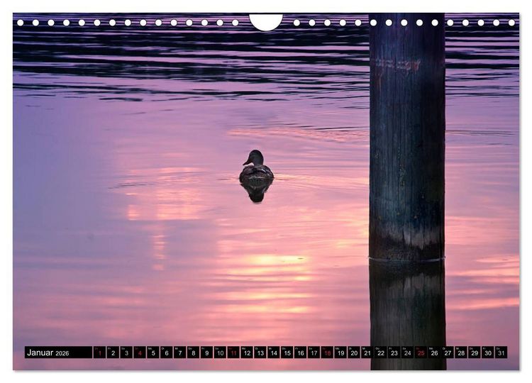 Produktbild: Mecklenburgische Seenplatte - zum Tr&auml;umen sch&ouml;n (Wandkalender 2026 DIN A4 quer), CALVENDO Monatskalender